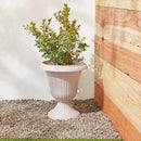 PL10TP Classic Traditional Plastic Urn Planter Indoor/Outdoor, 15" x 13", Taupe by GreenHaven Gardens