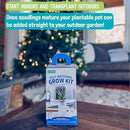 Back to the Roots Self Watering Grow Kit - Glass Hydroponic Planters for Succulents and Cacti Self-Watering System by GreenHaven Gardens