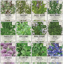 Seed Needs, Culinary Herb Seed Packet Collection Seed Starting Bundle (Includes 12 Individual Seed Packets, 36 Starter Pots & 1 Expandable Coco Coir Brick) Heirloom, Non-GMO, Untreated by GreenHaven Gardens