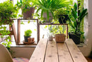 Indoor Plant Food | All-purpose House Plant Fertilizer | Liquid Common Houseplant Fertilizers for Potted Planting Soil | by Aquatic Arts by GreenHaven Gardens
