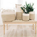 OrganiHaus Woven Laundry Basket, Large Cotton Rope Blanket Holder with Handles, Soft & Sturdy Nursery Hamper, Decorative Toy Bin for Living Room Organization 20x13 inches - Brown/Off-White by CozyNest Decor
