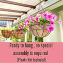 LaLaGreen Hanging Planter for Outdoor Plants (2 Pack, 14 Inch) White Hanging Baskets with Coco Liner, Metal Wire Flower Basket Pots with Hook Hanger Balcony Porch Farmhouse Country Style Garden Decor by GreenHaven Gardens