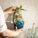 Cape Craftsmen Wall Mounted Molten Glass Hanging Terrarium on Driftwood, Indoor Wall Planter Vase on Wood, Propagation Station for Hydroponics Plants, Succulent Pot by GreenHaven Gardens
