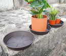 Plant Saucer 6 Inch 4 Pack 6 8 10 12 14 16 18 20 25, Plastic Plant Trays for Pots，Extra-Deep Plant Water Dray Tray, Bird Bath Bowl, Heavy Flower Plant saucers Indoors and Outdoor No Holes 6in-4 brown by GreenHaven Gardens