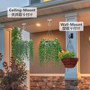 NACETURE Ceiling Hooks Heavy Duty 2 Pack - Plant Hooks for Ceiling Hanging Hook for Hanging Basket Hook, Light, Bird Feeders, Wind Chimes Décor Indoor & Outdoor (2.5" White 2 Pack) by GreenHaven Gardens
