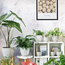 10inch Retro Ceramic Planter with Drainage Hole and Saucer for Multiple Plants, Indoor-Outdoor Garden Pots for Succulent, Orchid, and Flower (Fits Inner Pots Up to 9 Inch, Retro White) by CozyNest Decor