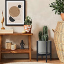 D'vine Dev Ceramic Planter with Ebony Stand - 10 Inch Modern Round Flower Pot with Wood Planter Holder, Grey, 55-B-L-3 by GreenHaven Gardens