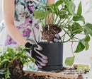 D'vine Dev Set of 2 Plants Pots, 6 Inch Ceramic Planter Pot for Plants with Drainage Hole and Saucer, Black, 94-V-C-2 by GreenHaven Gardens