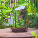 NCYP Closed Geometric Glass Enclosure with Front Opening Door & 2 Vent Holes for Insects, Succulent, Cacti - 7.9"x6.9"x9.8" Black Irregular Terrarium Planter - Home Garden Tabletop Decor (No Plants) by GreenHaven Gardens