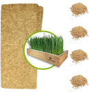 Cat Grass Refills for Self Watering Cat Grass Kit - 4 Mats and 4 Cat Grass Seed Packets (Cat Grass Refill Kit) by GreenHaven Gardens
