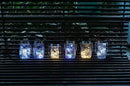 Decorman Solar Mason Jar Lights, 12 Pack 30 LED Fairy Star Firefly String Lids Lights with 12 Hangers for Patio Yard Garden Party Wedding Christmas Decoration(Jars Not Included) by GreenHaven Gardens