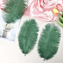 THARAHT Blackish Green Ostrich Feathers 24pcs Natural Bulk 8-10Inch 20cm-25cm for Crafts Wedding Party Centerpieces Mardi Gras Decoration Feather by CozyNest Decor