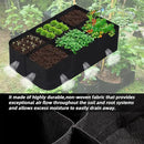 CJGQ Fabric Raised Garden Bed 4x2x1ft Garden Grow Bed Bags for Growing Herbs, Flowers and Vegetables 55 Gallon(2PACK)… by GreenHaven Gardens