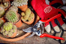 Felco F 14 Pruning Shears – 7.1" Garden Clippers for Small Hands with Bypass & Anvil Blades | Hand Pruners for Gardening | Garden Tool Cutter with Forged Alloy Steel Build, Lightweight Swiss Design by GreenHaven Gardens