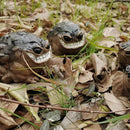 Weird Ugly Funny Monster Frog Obese Toad Garden Accessories Quirky Outdoor Accents Decorative Statue Novelty Home Office Sculpture Unique Gift by GreenHaven Gardens