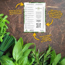 Seed Needs Herb Seeds Variety Pack Culinary Herb Collection (12 Individual Packets for Planting Indoors or Outdoors) Grow Your Own Herb Garden - Heirloom, Non-GMO by GreenHaven Gardens