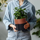 6.5 Inch Self-Watering Planter Pot with Terracotta Insert, Deep Water Reservoir, and Ceramic-Alike BPA-Free Plastic Pot for Plant, Modern Planter for Houseplants, Black/Terracotta, 53-B-S-5 by GreenHaven Gardens