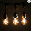 Hometown Evolution, Inc. 24 Foot E26 Outdoor Commercial String Lights with Suspended Socket for Weatherproof Heavy Duty Vintage Outside Lighting - Set of 12 A15 Clear Bulbs by GreenHaven Gardens