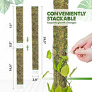 DUSPRO D-Shaped Plastic Moss Poles for Climbing Plants Monstera Stackable Moss Pole for Plants Moss Plant Pole Handmade Moss Stick for Indoor Plants Grow Upward 2 Pack 16.5 inches by GreenHaven Gardens