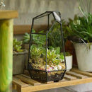NCYP Small Glass Geometric Terrarium - 4.9 x 3.9 x 7.4 Inches Irregular Clear Planter Pot for Succulents, Cactus, Indoor Garden Tabletop Decoration, Centerpiece (No Plants, No Door) by CozyNest Decor