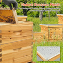 CREWORKS 10 Frame Bee Hive, 2 Layers Beeswax Coated Beehive Starter Kit with Frames & Foundations, Langstroth Bees Hives Box with Transparent Acrylic (Window Medium Box & Deep Box) by GreenHaven Gardens