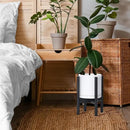 D'vine Dev Ceramic Planter with Ebony Stand - 8 Inch Modern Round Flower Pot with Wood Planter Holder, White, 55-B-M-1 by CozyNest Decor