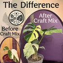Craft Aroid Potting Mix- Elite Alocasia, Philodendron, Monstera Soil Mix, Chunky, Well Draining Potting Soil for Indoor Plants, All Tropical Plants & Houseplants, Peat Free 12QT by GreenHaven Gardens