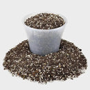 Premium African Violets and Gesneriad Premium Soil Mix by Gardenera - Horticultural Perlite (25%) + Vermiculite (25%) + Sphagnum Peat Moss (50%) - Made in USA - (1 Quart Bag) by GreenHaven Gardens