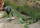 Design Toscano Iggy The Iguana Indoor/Outdoor Garden Statue, Large, 22 Inch Long, Cast Stone Resin, Full Color Finish by CozyNest Decor