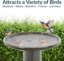 Sunnydaze 21" H Ceramic Bird Bath for Outside - Hand-Painted Outdoor Bird Bath Bowl, UV/Frost-Resistant Finish - Dusty Rose - Classic Pedestal by GreenHaven Gardens
