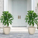 Artificial Dracaena Tree Artificial Silk Tree Faux Tree with White Tall Planter Fake Tropical Yucca Floor Plant (2, White Planter, 4 FT) by CozyNest Decor
