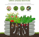 2-Pack 2x1ft Galvanized Raised Garden Bed, Outdoor Planter Bed, Metal Planter Box for Gardening and Planting,LG by GreenHaven Gardens