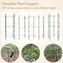Gardzen Multi-use Tomato Cage Plants Support, Trellis Climbing Cage Stand for Pepper Eggplant Tomato Flowers by GreenHaven Gardens