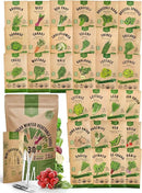 Organo Republic 30 Most Popular Winter Vegetable Garden Seeds Variety Pack- Outdoors/Indoor 8300+ Non-GMO Heirloom Veggie Seeds Broccoli Beet Carrot Cabbage Chives Lettuce Radish Pea Spinach & More by GreenHaven Gardens