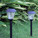 Solar Outdoor Pathway Lights Matt Black Stainless Steel Painted LED Lights for Garden Landscape Path Yard Driveway (black-8pack) by GreenHaven Gardens