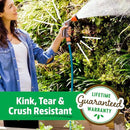 Back to the Roots Kink Resistant, BPA-Free Garden Hose, 100ft by GreenHaven Gardens