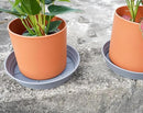 Plant Saucer 14 Inch 4 Pack 6 8 10 12 14 16 18 20 25, Plastic Plant Trays for Pots，Extra-Deep Plant Water Dray Tray, Bird Bath Bowl, Heavy Flower Plant Saucers Indoors and Outdoor No Holes by GreenHaven Gardens