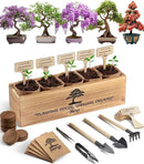 Bonsai Tree Kit – 5X Unique Japanese Bonzai Trees | Complete Indoor Starter Kit for Growing Bonsai Plants with Tools & Planters – Gardening Gifts for Women & Men by GreenHaven Gardens