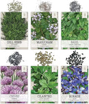 Seed Needs Herb Seeds Variety Pack Culinary Herb Collection (12 Individual Packets for Planting Indoors or Outdoors) Grow Your Own Herb Garden - Heirloom, Non-GMO by GreenHaven Gardens