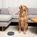 The Slowdown Bowl Silicone Slow Feeder for Dogs & Puppies, Slow Eating Modern Lick Mat Design Reduces Gulping, Fits 2 Cups 7.5” Across x 1.5” Tall, Mealtime Challenge, Medium-Sage by CozyNest Decor