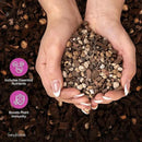 Molly's Succulent Mix - Premium Gritty Soilless Potting Mix for Succulents, Cactus and Bonsai - Contains Akadama, Hyuga, Bark Fines, Pumice, Lava Rock, Mycorrhizae 5 Dry Quarts by GreenHaven Gardens