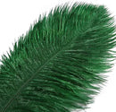 THARAHT Blackish Green Ostrich Feathers 12pcs Large Natural Bulk 14-16Inch 35cm-40cm for Wedding Party Centerpieces Mardi Gras Decoration Feather by CozyNest Decor
