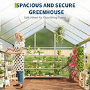 6 x 6 FT Greenhouse, Greenhouses for Outside, Polycarbonate Greenhouse with Aluminum Frame, Lockable Door and Ajustable Roof Vent for Backyard, Green Houses for Outside Garden Backyard, Patio by GreenHaven Gardens