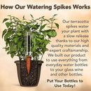 6 Pack Terracotta Watering Spikes for Indoor and Outdoor Plants - Simple and Easy Setup - Keep Plants Happy and Watered While You are Away by GreenHaven Gardens