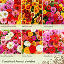 Eden Brothers Zin Master Flower Mixed Seeds for Planting, 5 lb, 2,400,000+ Seeds with California Giant, Mexican, Lilliput Zinnia | Attracts Pollinators, Plant in Spring, Zones 3, 4, 5, 6, 7, 8, 9, 10 by GreenHaven Gardens