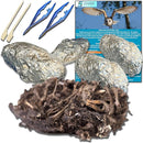 Amazing Owl Pellet Dissection Kit 5-Piece Set for Science Lab Projects Includes Tweezers and Wooden Probes Ideal for Ages 15 & Older Barn Owl eBook Included by TinyTreasures Baby Boutique