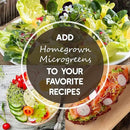 Buckwheat Seeds - 1 Lb ~15,000 Seeds - Organic, Non-GMO, Whole (Shell On) - Grow Buck Wheat Microgreens by GreenHaven Gardens