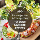 Radish Sprouting Seed - Red Arrow Variety - 4 oz Seed Pouch - Heirloom Radish Sprouts - Non-GMO Sprouting and Micro Greens by GreenHaven Gardens