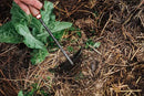 Barebones Triangle Hoe - Stainless Steel Hoe - Japanese Gardening Tools for Weeding, Long Handle and Hand Hoe (Walnut/Black) by GreenHaven Gardens