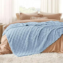 Bedsure GentleSoft Blankets Queen Size for Bed - Super Soft Cozy Blanket for Women Men Girls, Large Fuzzy Fleece Throw for Bedroom Decor, Light Blue, 90x90 Inches by CozyNest Decor